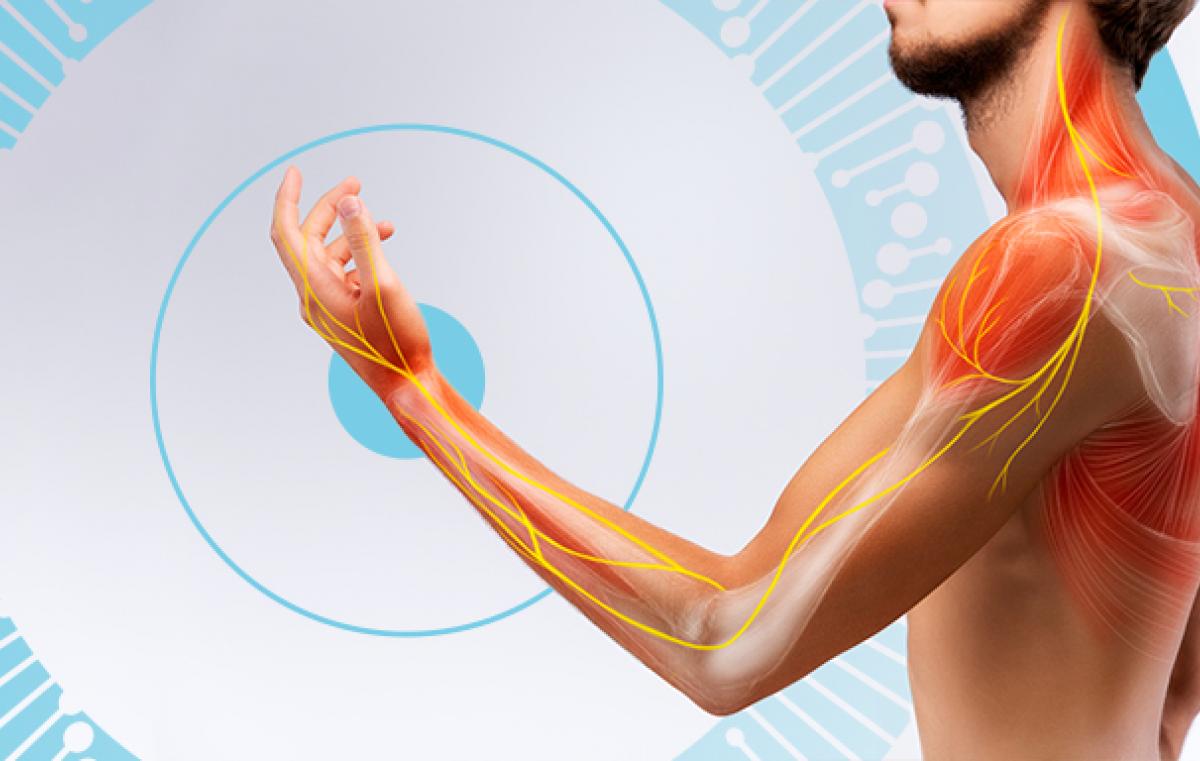 קולטן עצבים