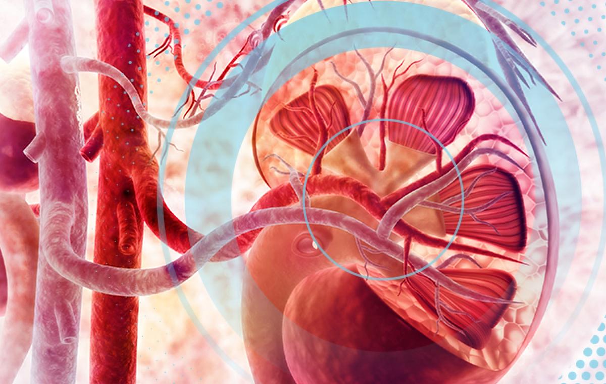 פיתוח חדש מציע טיפול יעיל בדלקת כליות