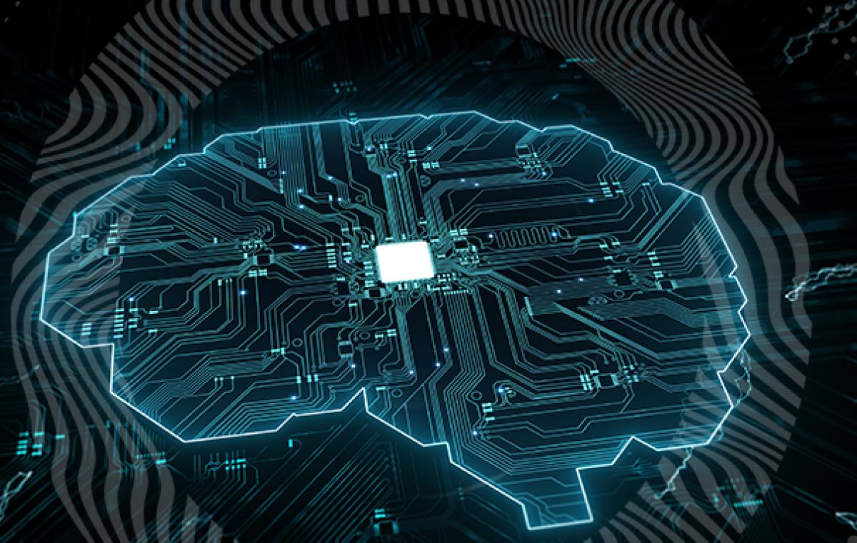Brain learning