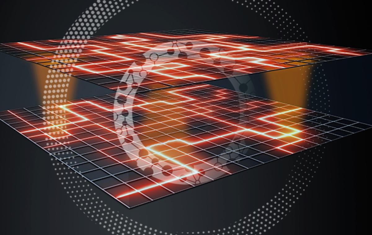 Theory of independent networks