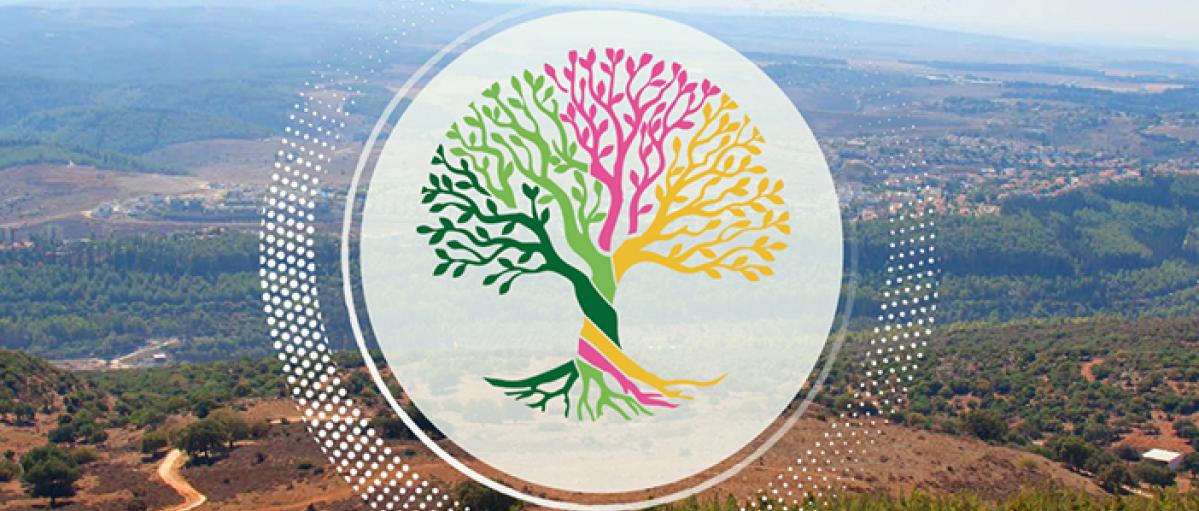 סוכרת